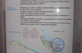 PLONGEE DU 11 NOVEMBRE A PORT VENDRES