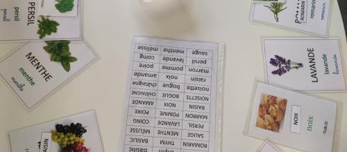 Les herbes aromatiques