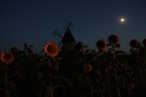 Le moulin de Cuq