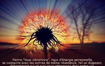 Notre taux vibratoire