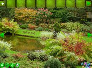 Arboretum escape