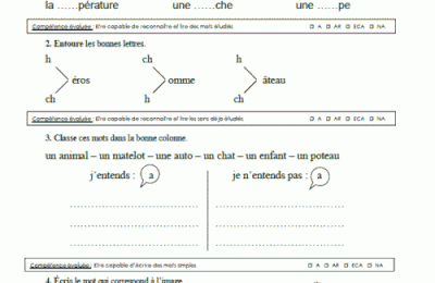 Bilans des unités (nouvelle édition)