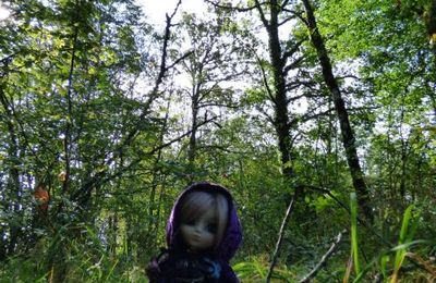 Un automne avec Fauna