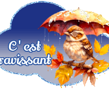 Superbe - magnifique - blinkies