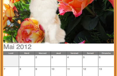 2ieme serie de 4 calendriers 2012 a imprimer