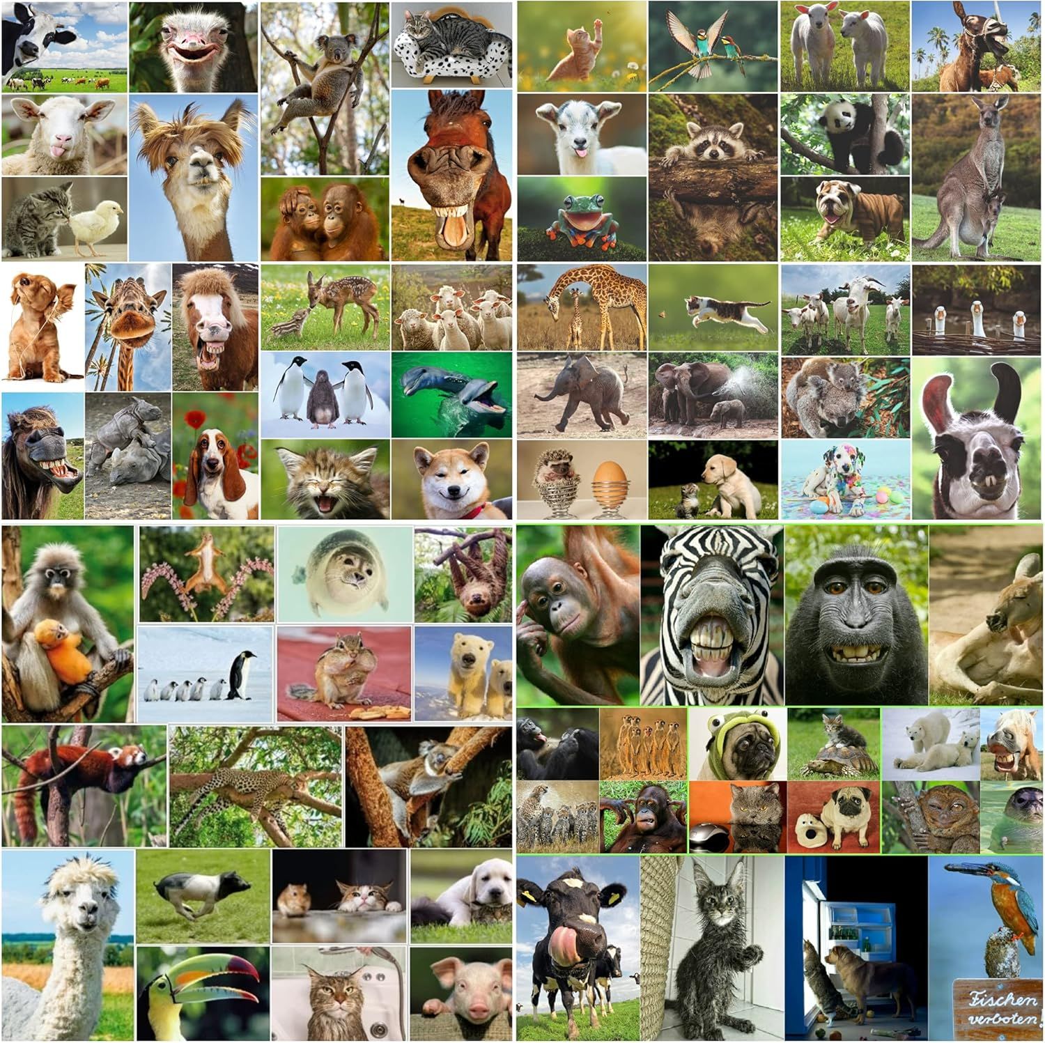 lot de cartes postales