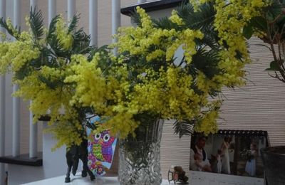 Comment conserver le mimosa en vase