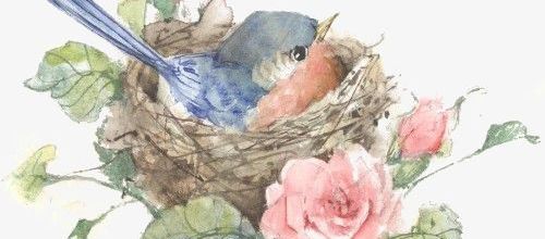 Savoir reconnaître les oiseaux