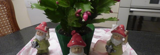 cette journée je la dédie a ma maman 