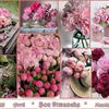 Bon dimanche ! La Pivoine