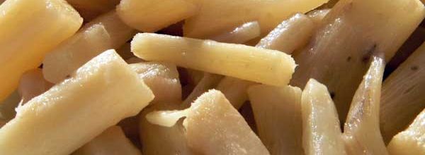RECETTE:SALSIFIS A LA CRÈME  R D 17/11/2022  D 19/02/2013