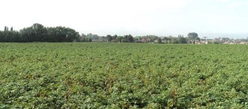  * A la découverte de mon quartier