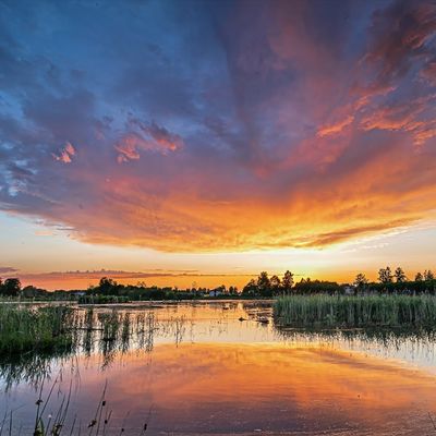 Les marais de l'ilé. 