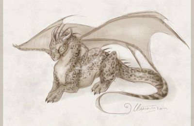 DragonS