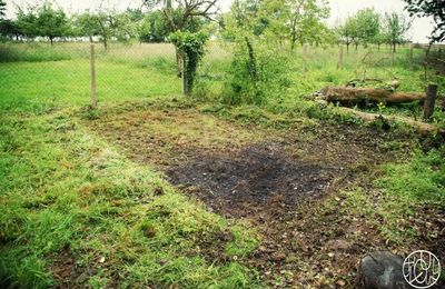 Le potager du Terrier : notre serre