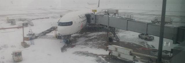 Flight from Frankfurt to Montreal on January 7th 2024