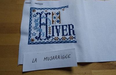 SAL hiver, la suite...