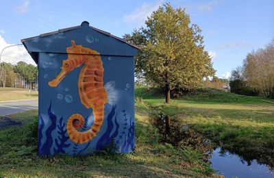 EB - Street-art dans la ville : Hippocampe, tortue et crabe...