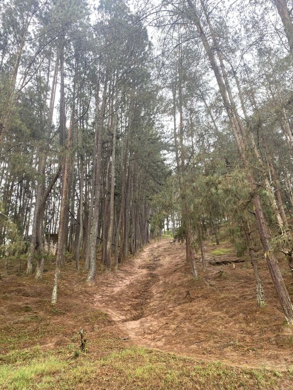la route vers le foyer