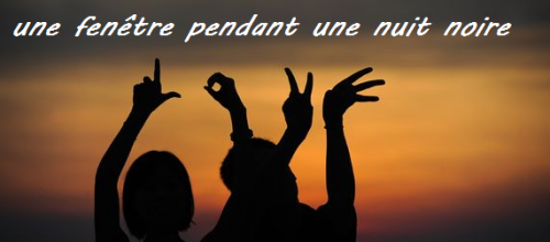L'amitié en lumière