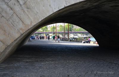 L'île de la Cité : Promenade René Capitant