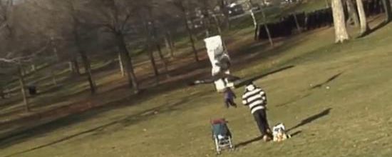 Un aigle s'empare d'un enfant jouant dans un parc