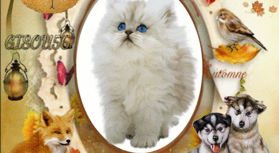 CADRES ANIMAUX AUTOMNE