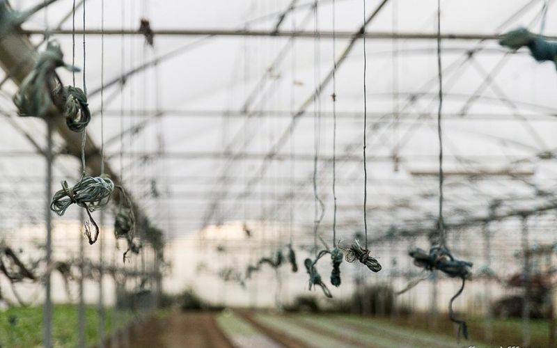 Street Art en trois dimensions.