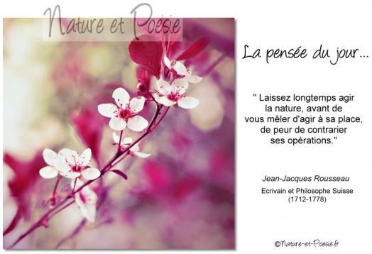 Citations en images : La Nature