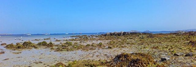à travers plages 