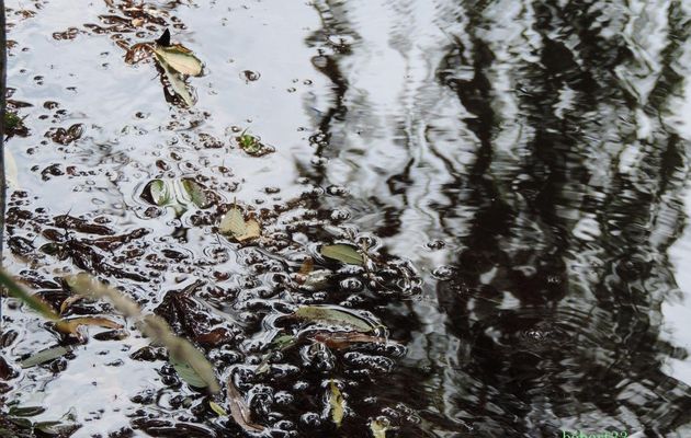 la magie de l'eau et mes recherches !