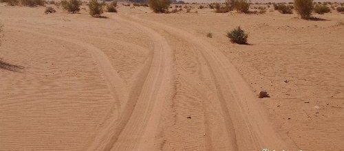 Jordanie (13) Wadi Rum 2