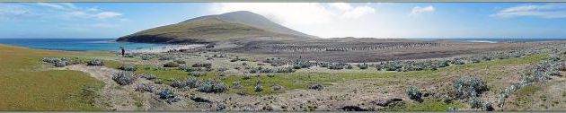 Vue panoramique sur Mount Harston (433 m) entre la plage sud (gauche) et celle du nord (droite) - The Neck (Le Cou) - Saunders Island - Falkland (Malvinas, Malouines) - Grande-Bretagne