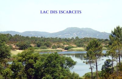 La Plaine des Maures : dimanche 18 mai