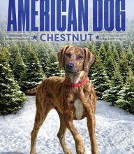 [Pdf/ePub] Chestnut by Jennifer Li Shotz download ebook
