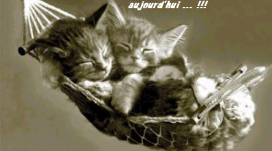 Bon Jeudi à tous