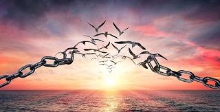 Une vie nouvelle ... 