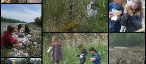 T'as pas tort, c'est le castor!