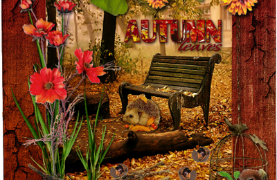 Les couleurs de l'automne 