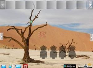 Desert mommy land escape soluce