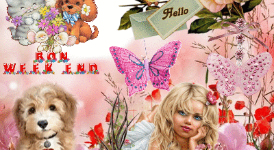 FILLETTE ANIMAUX HELLO