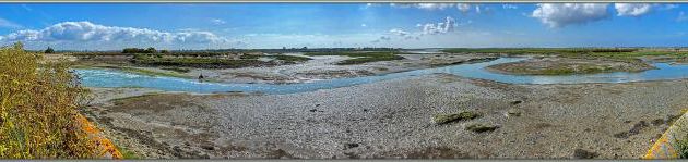 Vue panoramique du Fier d'Ars à marée basse vu des Ains - Les Portes-en-Ré - Ile de Ré - 17