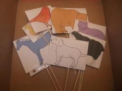 Jeux autour de l'album "Brown bear"