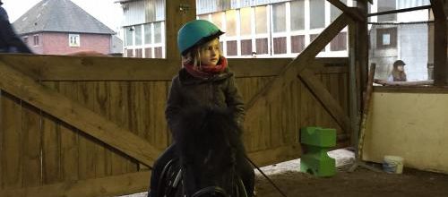 Le poney