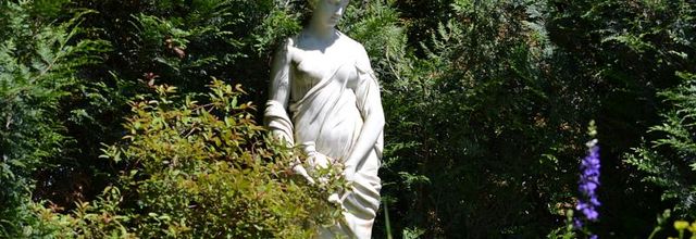 Jardin des Plantes de Paris : Jardin des iris et des plantes vivaces