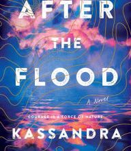 Download PDF After the Flood: A Novel