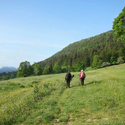 Les crêtes de Sur Lyand