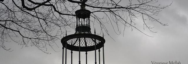 Le Belvédère du Jardin des Plantes