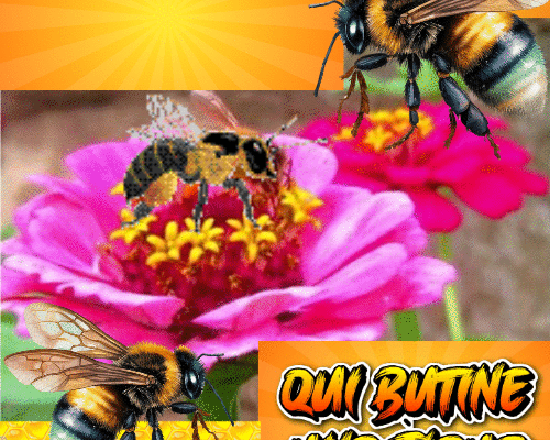 Dessin et peinture - vidéo 4049 : Comment peindre une abeille qui butine une fleur ? - encre et aquarelle. 