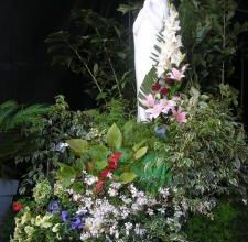 Fête de la Mer Pornic 2008